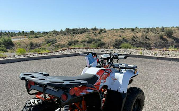 2026 KAYO BULL 125 EFI - Kayo