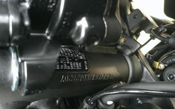 2024 Kawasaki Ninja ZX-4RR ABS ABS