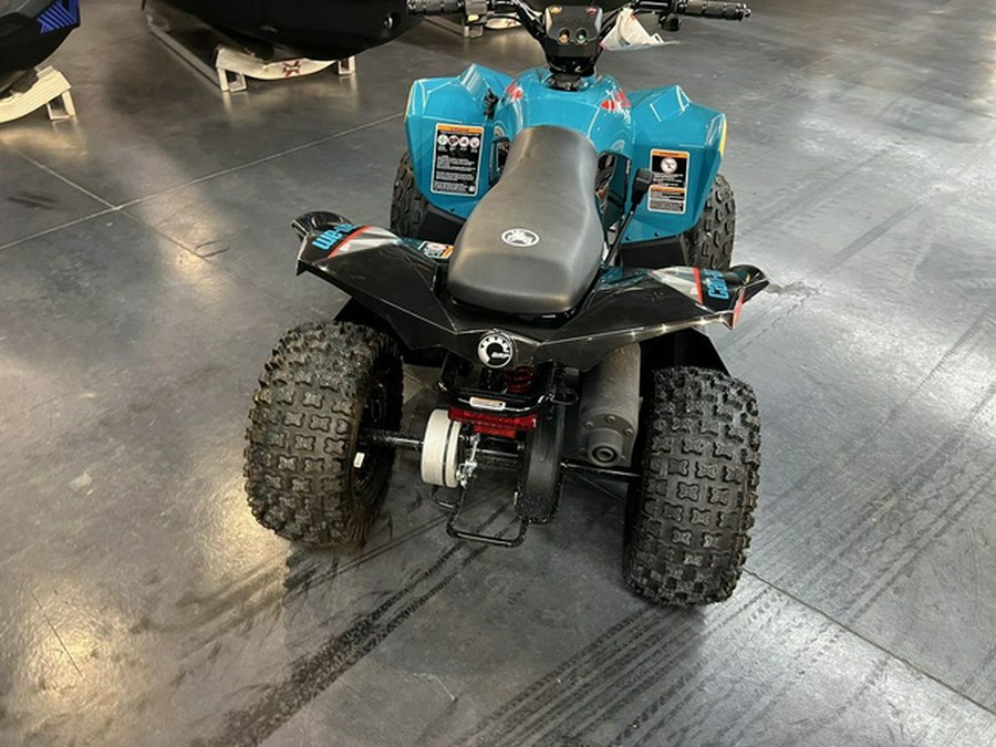 2024 Can-Am Renegade 70 EFI