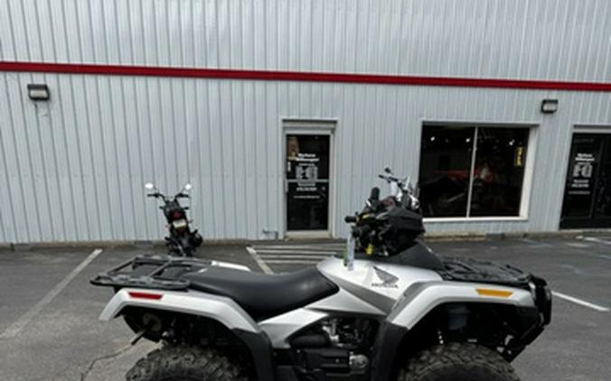 2025 Honda FourTrax Rubicon 700 4x4 Automatic