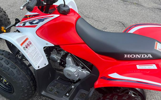 2023 Honda TRX90X