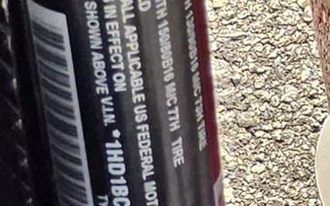 2024 Harley-Davidson® FLI - Hydra-Glide Revival