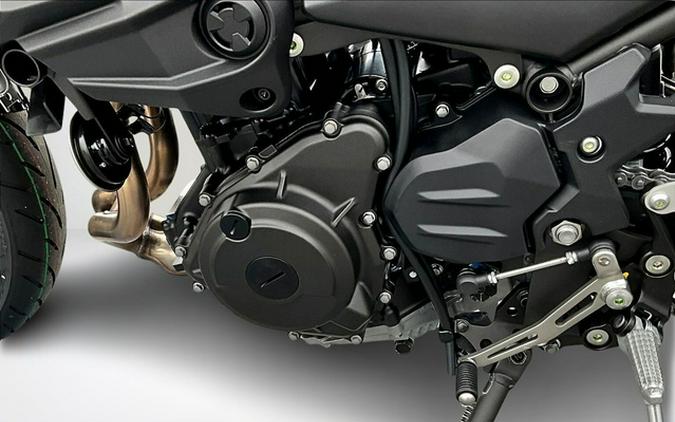 2025 Kawasaki Z500 ABS