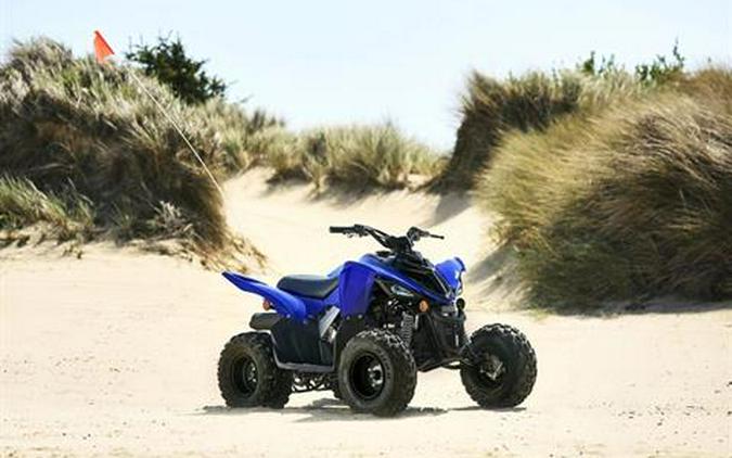 2025 Yamaha Raptor 110