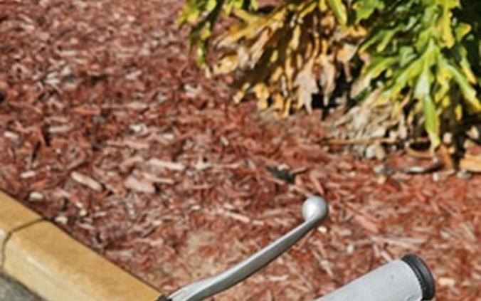 2020 Kawasaki KLX 110L