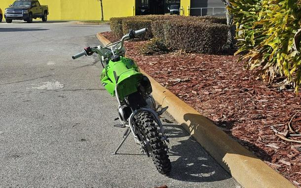 2020 Kawasaki KLX 110L