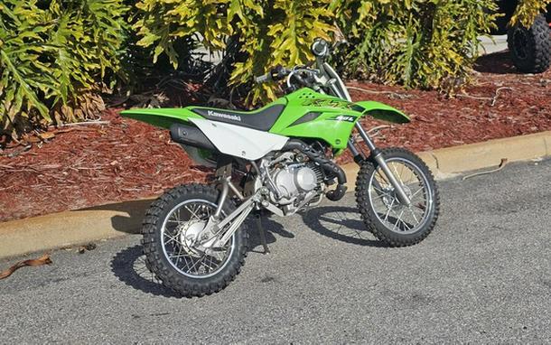 2020 Kawasaki KLX 110L