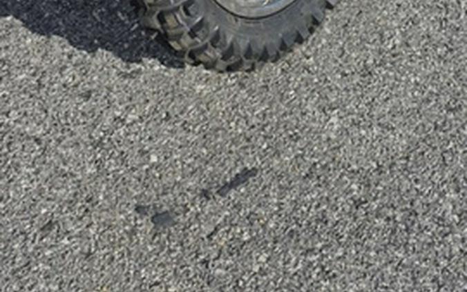 2020 Kawasaki KLX 110L