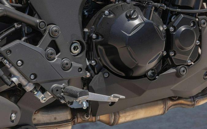 2025 Kawasaki Versys 1100 SE LT ABS