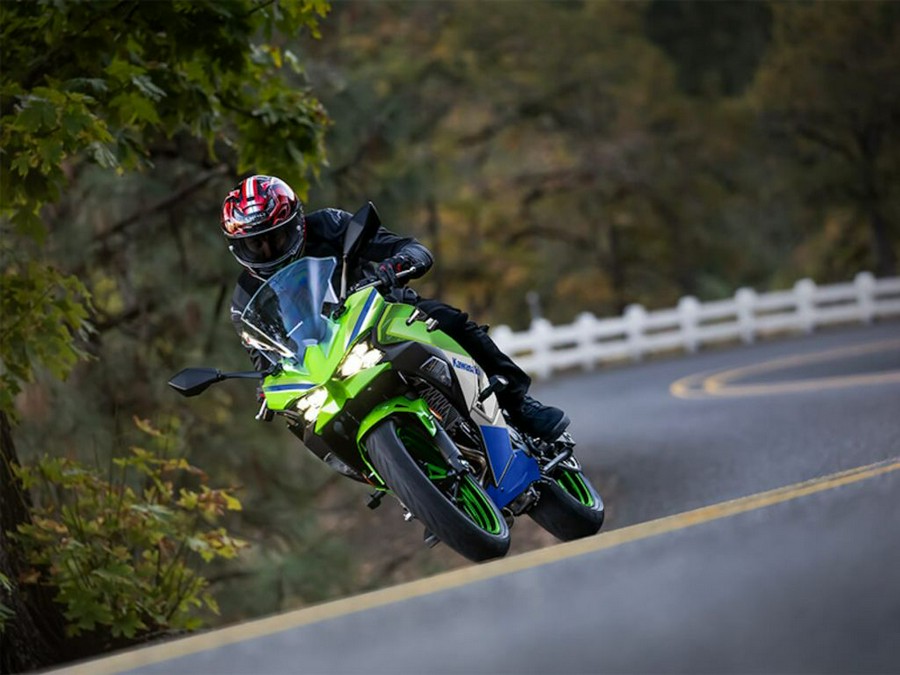 2024 Kawasaki Ninja® 500 SE 40th Anniversary Edition ABS