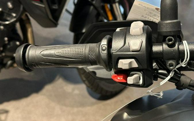 2025 Triumph Tiger 900 Rally Pro