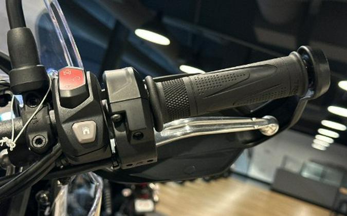 2025 Triumph Tiger 900 Rally Pro