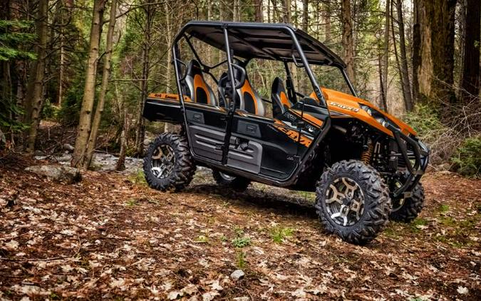 2019 Kawasaki Teryx4™ LE