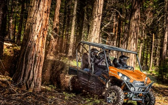 2019 Kawasaki Teryx4™ LE