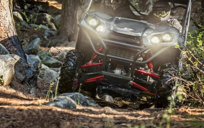 2019 Kawasaki Teryx4™ LE