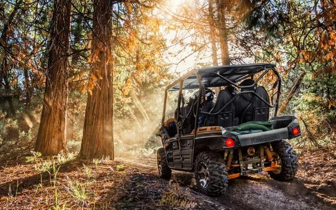 2019 Kawasaki Teryx4™ LE