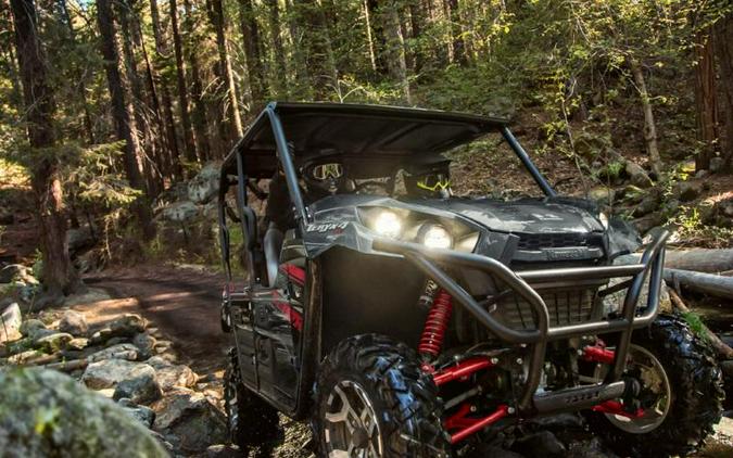 2019 Kawasaki Teryx4™ LE