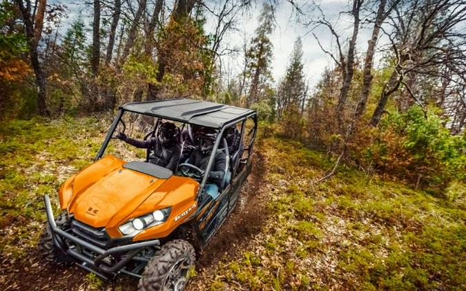 2019 Kawasaki Teryx4™ LE