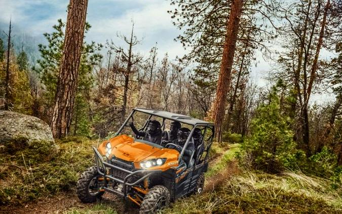 2019 Kawasaki Teryx4™ LE