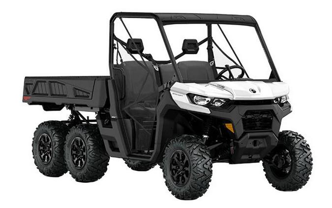 2022 Can-Am® Defender 6x6 DPS HD10