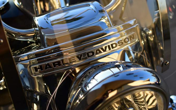 2020 Harley-Davidson Freewheeler