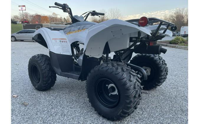 2024 Yamaha Grizzly 90