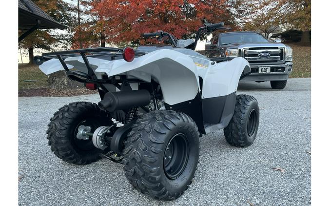 2024 Yamaha Grizzly 90