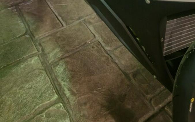 2026 BMW Motorrad S 1000 RR