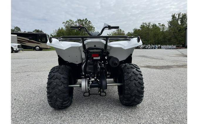 2024 Yamaha Grizzly 90