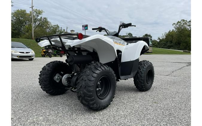 2024 Yamaha Grizzly 90