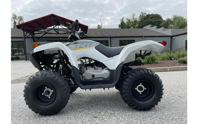 2024 Yamaha Grizzly 90