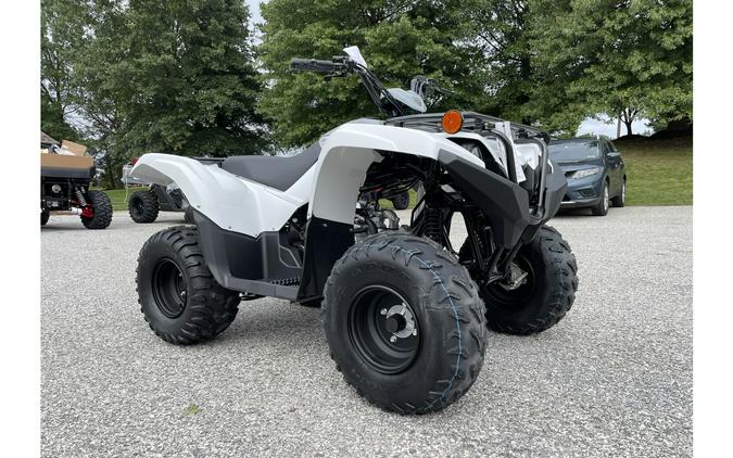 2024 Yamaha Grizzly 90