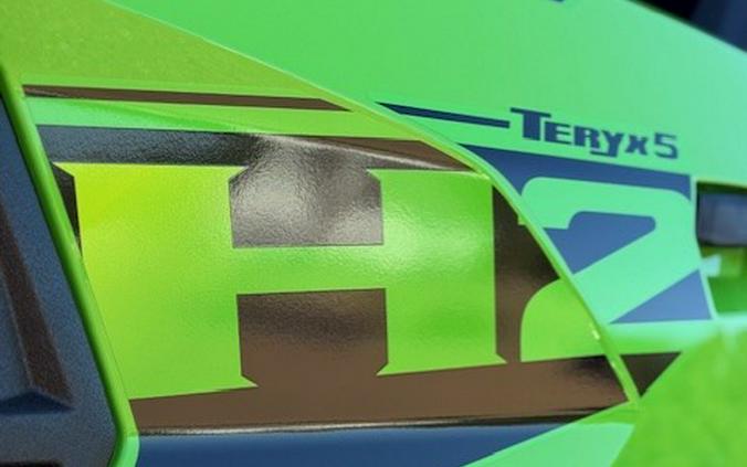 2026 Kawasaki Teryx5 H2 Deluxe eS