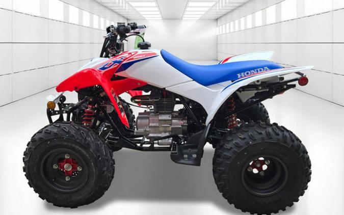 2026 Honda TRX® 250X