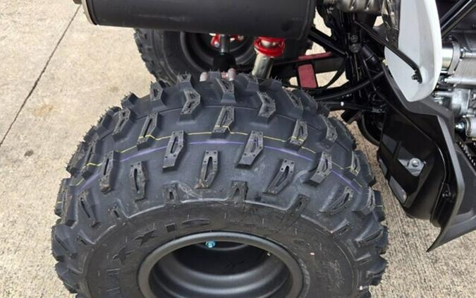 2026 Honda TRX® 250X