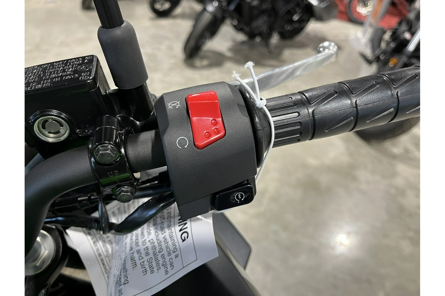 2025 Kawasaki Versys®-X 300 ABS