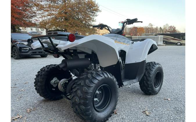 2024 Yamaha Grizzly 90