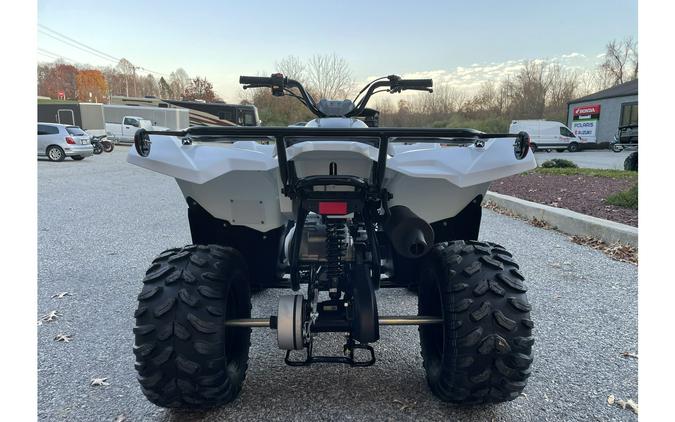 2024 Yamaha Grizzly 90