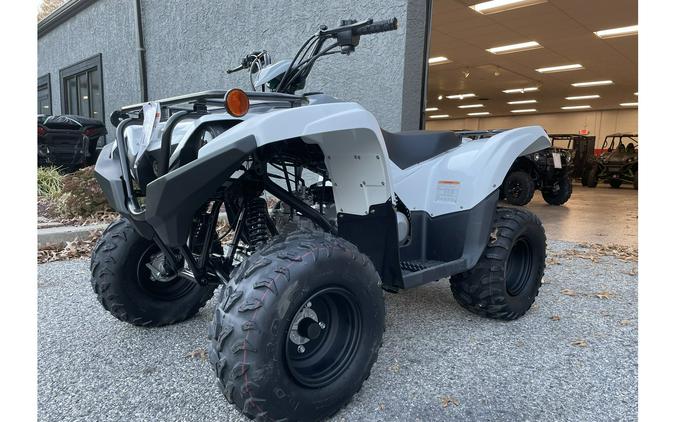 2024 Yamaha Grizzly 90