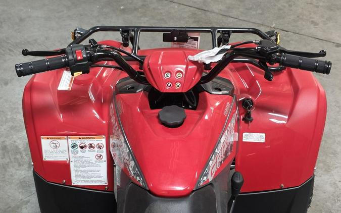2025 Yamaha Grizzly 110