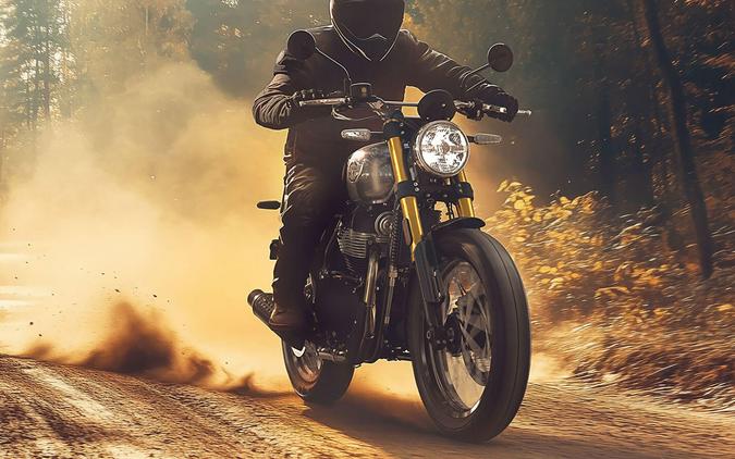 2025 Royal Enfield Bear 650
