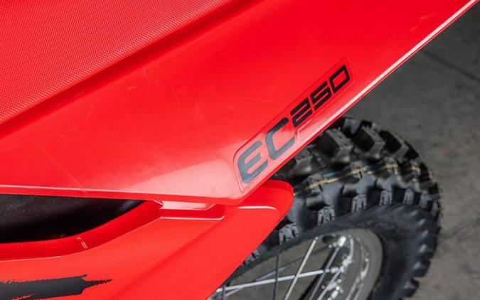 2025 GASGAS EC 250