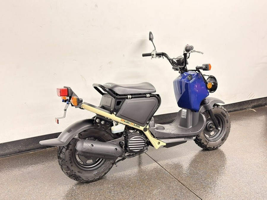 2023 Honda® Ruckus