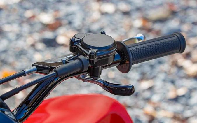 2025 Honda® TRX90X