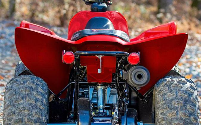 2025 Honda® TRX90X