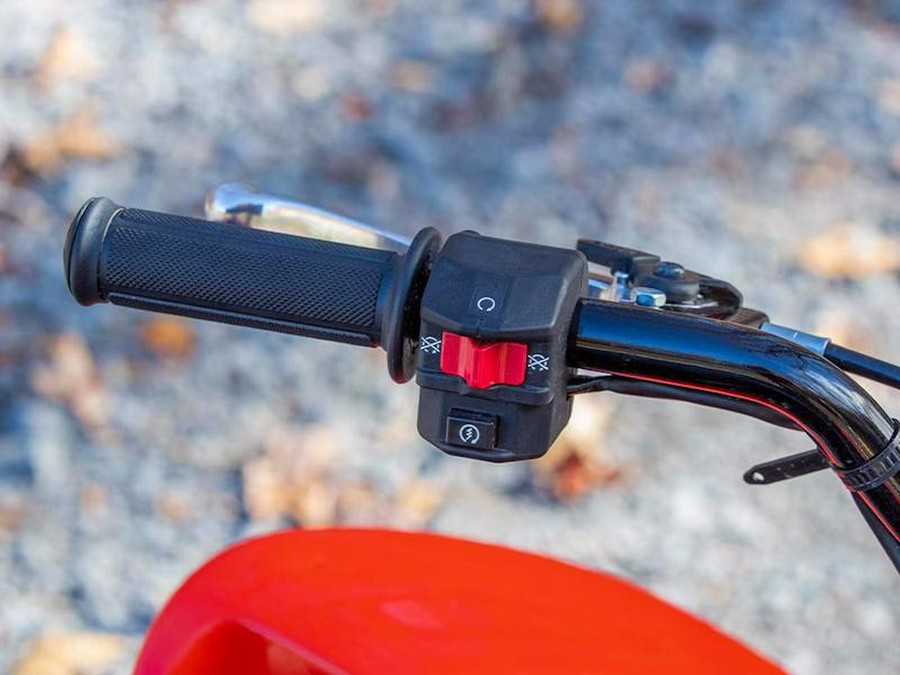 2025 Honda® TRX90X