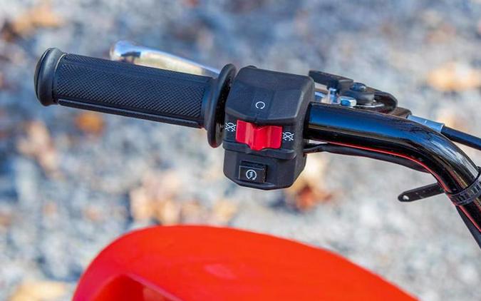 2025 Honda® TRX90X