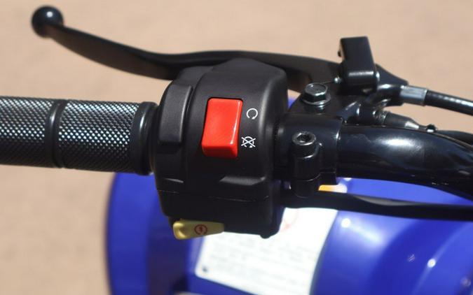 2026 Yamaha Raptor 110
