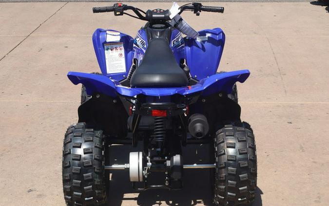 2026 Yamaha Raptor 110