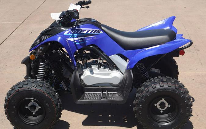 2026 Yamaha Raptor 110